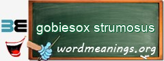 WordMeaning blackboard for gobiesox strumosus